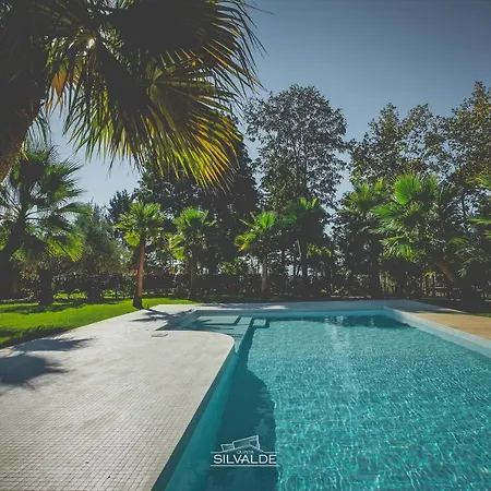 Quinta De Silvalde 5* Santo Tirso