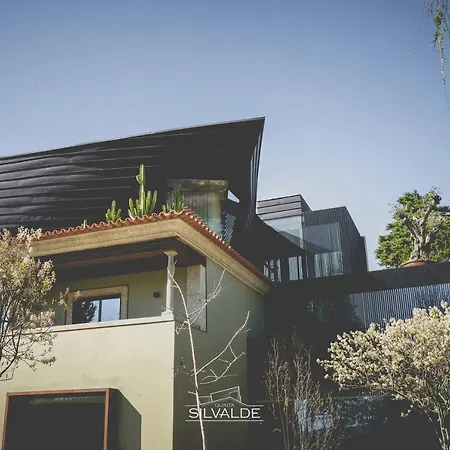 Quinta De Silvalde Hotel