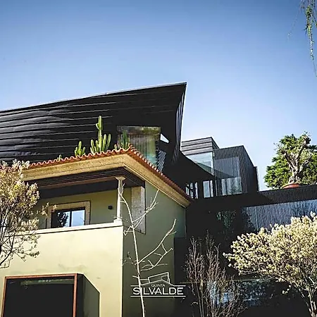 Quinta De Silvalde Hotel Santo Tirso