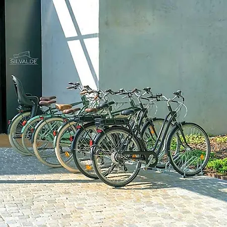 Quinta De Silvalde Szálloda Santo Tirso