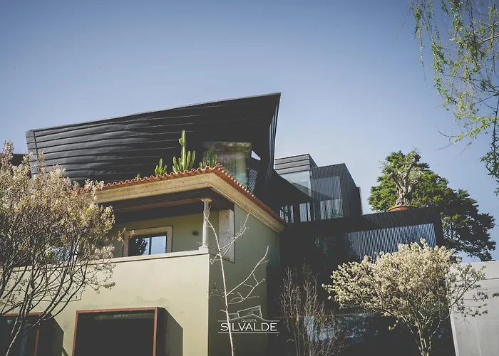 Quinta De Silvalde Hotell