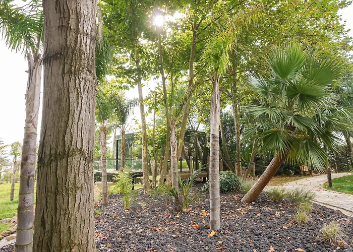 Quinta De Silvalde Отель Санту-Тирсу